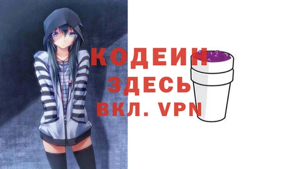 метадон Богданович