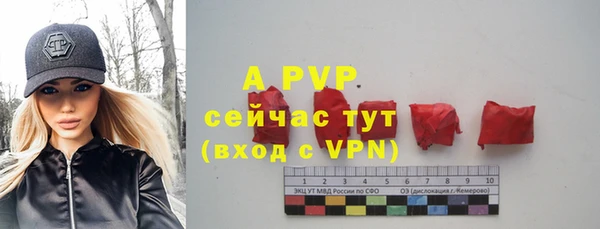 молекула духа Бронницы