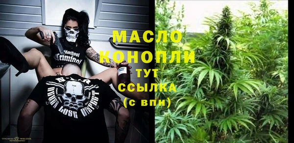 молекула духа Бронницы